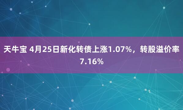 天牛宝 4月25日新化转债上涨1.07%，转股溢价率7.16%