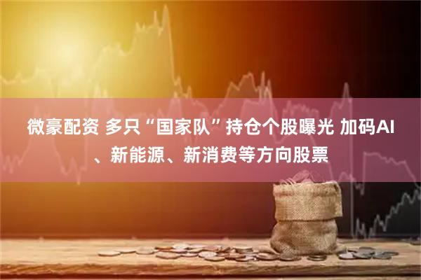 微豪配资 多只“国家队”持仓个股曝光 加码AI、新能源、新消费等方向股票