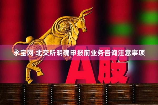 永宝网 北交所明确申报前业务咨询注意事项