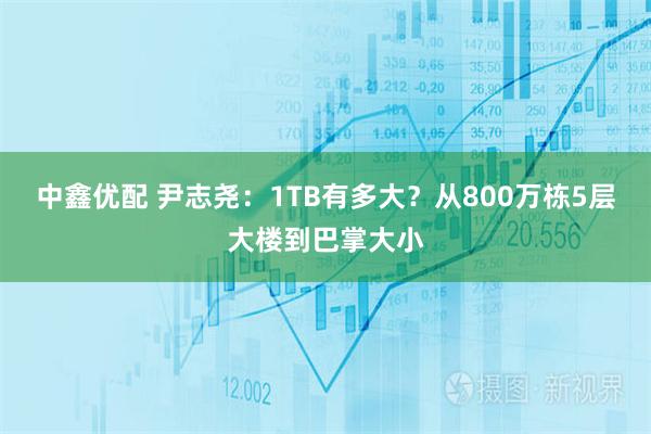 中鑫优配 尹志尧：1TB有多大？从800万栋5层大楼到巴掌大小